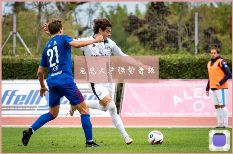 老虎大学强势晋级