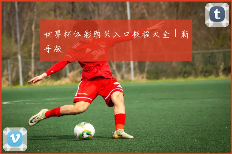 世界杯体彩购买入口教程大全｜新手版