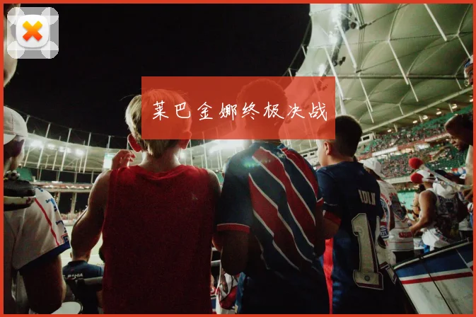 莱巴金娜终极决战