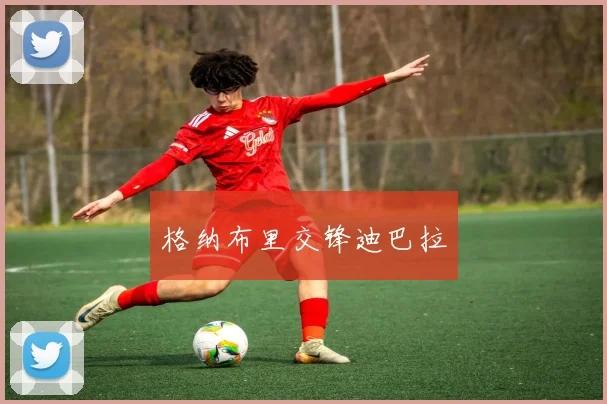 格纳布里交锋迪巴拉
