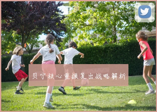 贝宁核心重振复出战略解析