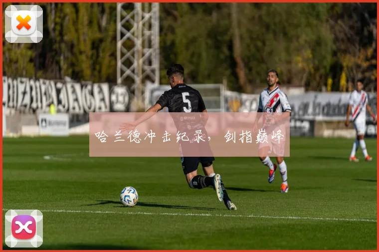 哈兰德冲击纪录，剑指巅峰