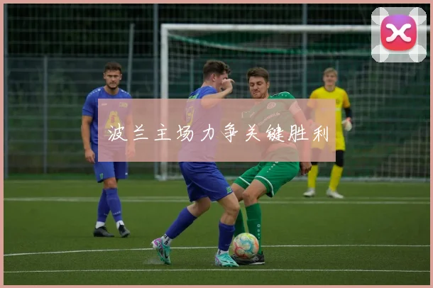 波兰主场力争关键胜利