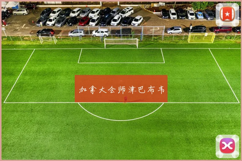 加拿大会师津巴布韦