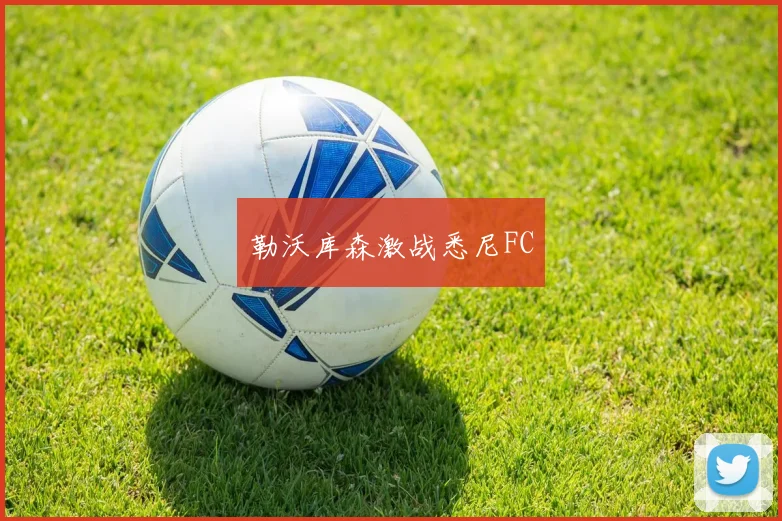 勒沃库森激战悉尼FC